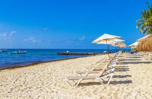 palmer parasoll solstolar beach resort playa del carmen mexico.