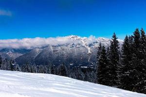 alpskog med snötäckta alpina bergstoppar i bakgrunden under blå himmel foto
