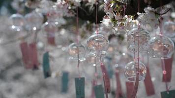 vindklockorna hängde på det blommande körsbärsträdet för att be om välsignelser i Kina på våren foto