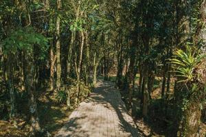 nova petropolis, Brasilien - 20 juli 2019. asfalterad väg i ett skogslandskap i skulpturparken, tystnadens stenar nära nova petropolis. en härlig lantlig stad grundad av tyska invandrare. foto