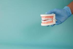doktor hand som håller plast dentala tänder modell på bordet foto