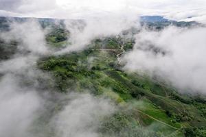 dimmigt berg i tropisk regnskog i nationalparken