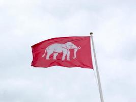 flagga av siam vit elefant på bakgrund av blå himmel foto