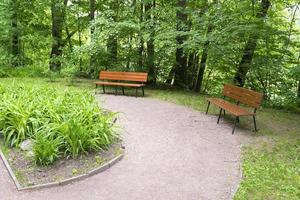 två bänkar i sommarparken. foto