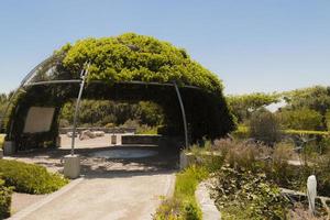 välskött Green Point Park i Kapstaden, Sydafrika. foto