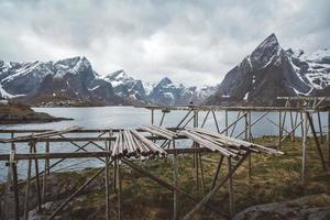 norge berg och landskap på öarna lofoten. naturligt skandinaviskt landskap. plats för text eller reklam foto