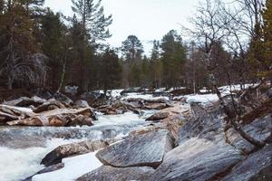 landskap av bergsfloden som flyter bland stenar och skog. plats för text eller reklam foto