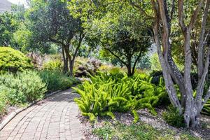 vandringsled i Kirstenbosch National Botanical Garden, Kapstaden. foto
