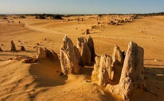 höjdpunkterna i nationalparken Nambung är fantastiska naturliga kalkstensstrukturer, några som är så höga som fem meter. västra Australien. foto