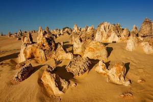 höjdpunkterna i nationalparken Nambung är fantastiska naturliga kalkstensstrukturer, några som är så höga som fem meter. västra Australien. foto