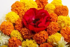 ringblomma rangoli design för diwali festival, indisk festival blomma dekoration foto