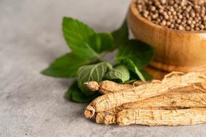 ginseng, torkad grönsaksört. hälsosam mat känd exportmat i korealand. foto