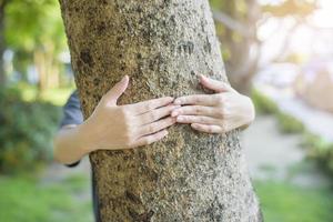 närbild mänsklig hand kramar trädet foto