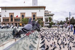 Justitiepalatset på mohammed v square i casablanca foto