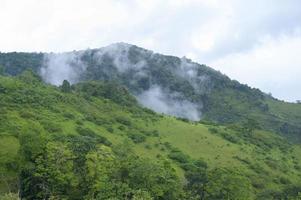 vacker grön bergsutsikt under regnsäsong, tropiskt klimat.