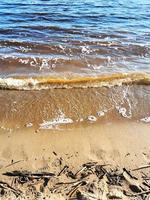 sjöns sandstrand med torra grenar. spolad strand på våren. stranden är översvämmad med vatten. foto