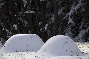 steniga berg vinter höst foto