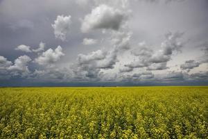 prairie storm moln kanada foto