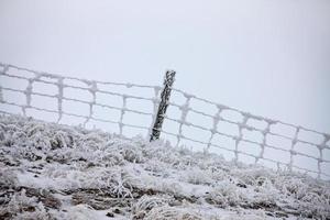 vinterfrost saskatchewan foto