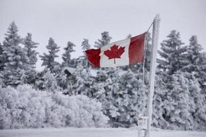 vinterfrost saskatchewan foto