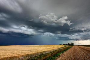 prairie storm kanada foto