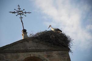 vacker stork i sitt bo på toppen av ett kyrktorn, sedd underifrån, soria, spanien foto