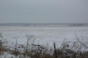 panorama av ett jordbruksfält täckt med snö på vintern foto