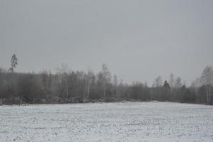 panorama av ett jordbruksfält täckt med snö på vintern foto