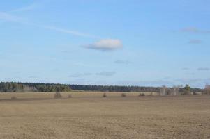 panorama av jordbruksfält på vintern foto