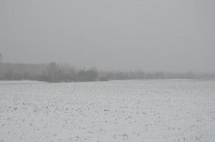 panorama av ett jordbruksfält täckt med snö på vintern foto