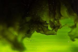 grön alger laboratorieforskning, alternativ biobränsleenergiteknik, bioteknikkoncept foto