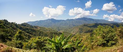 synpunkt på väg att förbjuda huai thon, bo kluea-distriktet, nan-provinsen, thailand foto