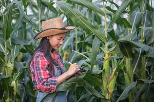 asiens kvinnliga agronom och bonde som använder teknik för inspektion i jordbruks-majsfält foto