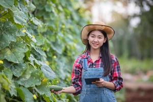 Asiatiska kvinnliga agronomer och lantbrukare som använder teknik för inspektion i jordbruks- och ekologiska grönsaksfält foto