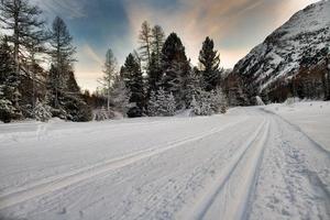 längdskidspår i alpernas skidområde foto