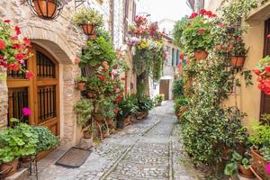 blommor på den gamla gatan i byn Spello. Umbrien, Italien. foto