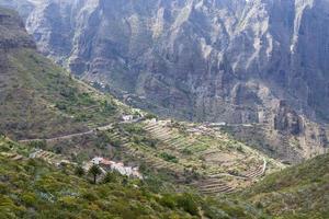 bergsväg på ön teneriffa, höga berg och täta skogar. foto