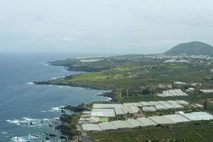 utsikt över grönsaksfälten på ön teneriffa, jordbruk. foto