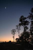 siluett träd med halvmåne på kullen i tropisk regnskog foto
