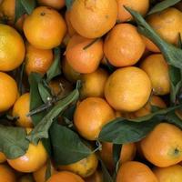 makro foto mandariner. arkivfoto citrusfrukt mandarin bakgrund