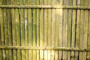bambu staket naturligt foto