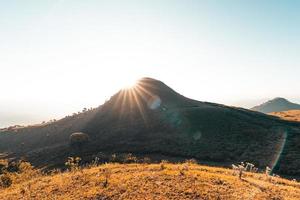 morgonljus och berg, berg på sommaren morgon- och vårblommor foto