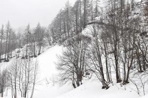 utsikt över Balme, Aostadalen foto