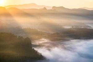 natursköna landskap på dimmig kulle vid soluppgången foto