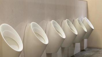 vita urinaler keramik och träd i badrum för män foto