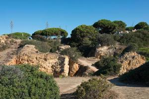 vacker trädgård med en promenadväg vid kusten. blå himmel, inga människor. algarve, portugal foto