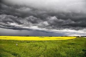 storm moln saskatchewan foto