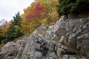 algonquin park muskoka ontario foto