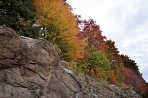 algonquin park muskoka ontario foto