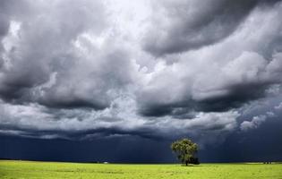 storm moln saskatchewan foto